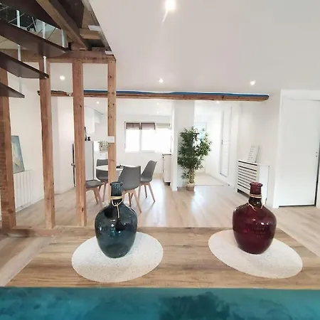 Appartement Duplex Sur Patio Saint-Laurent-sur-Saone